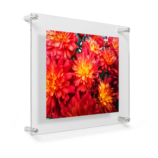 DOUBLE PANE FLOATING WALL FRAME - FOR 8x10 OR 9x12 ART
