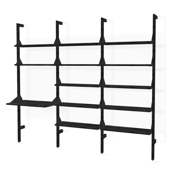 BRANCH-3 SHELVING UNIT WITH DESK