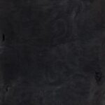 Carbonized Black