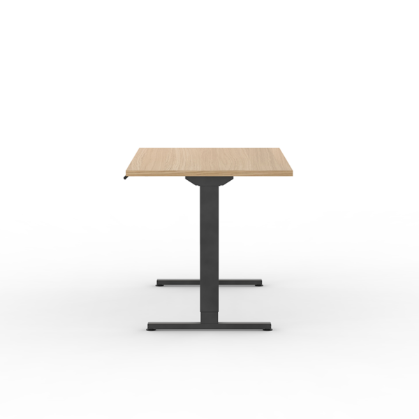PERCH HEIGHT ADJUSTABLE DESK