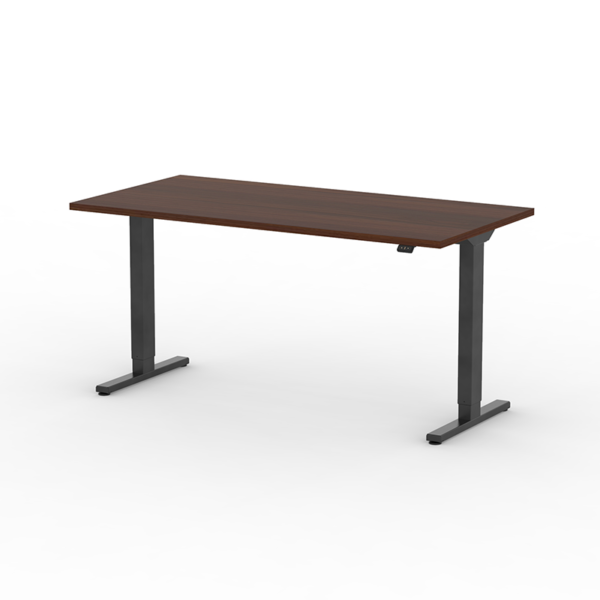 PERCH HEIGHT ADJUSTABLE DESK