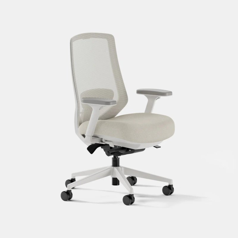 Ergonomic Chair Pro Ergonomic Chair Pro
