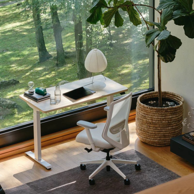 Ergonomic Chair Pro Ergonomic Chair Pro