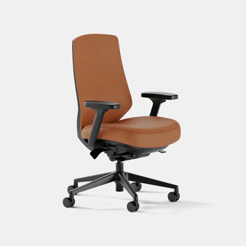 Ergonomic Chair Pro Ergonomic Chair Pro